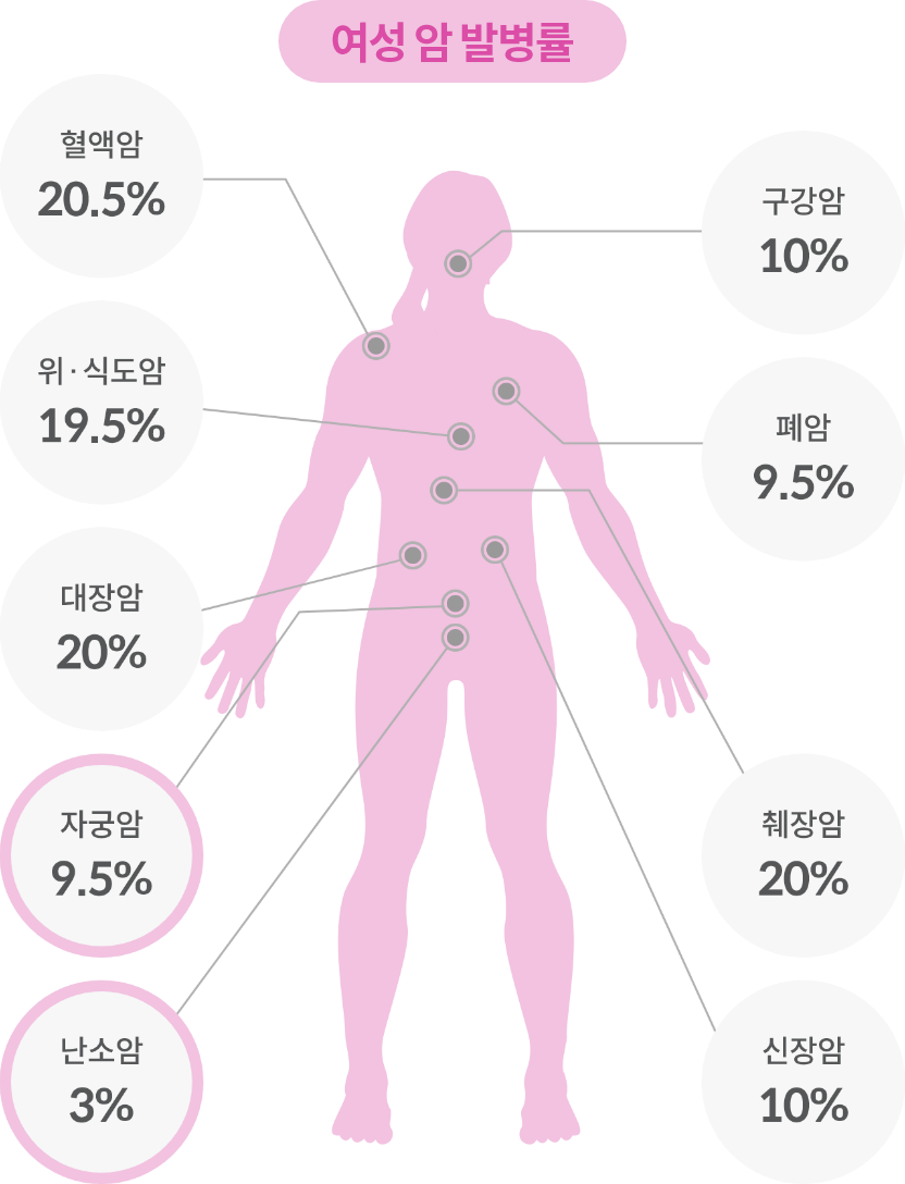 여성 암발병률 화면